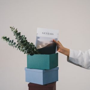 Imagem de destaque do post